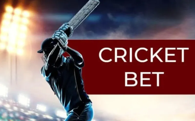 Cricket Match